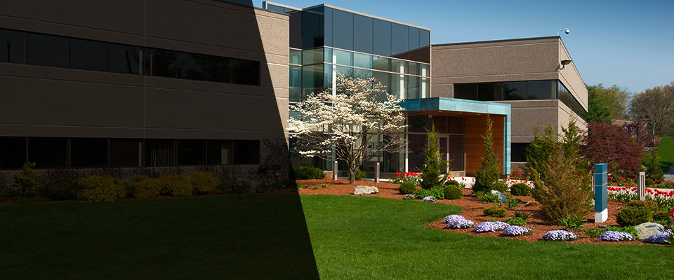Hayneville Landscapers