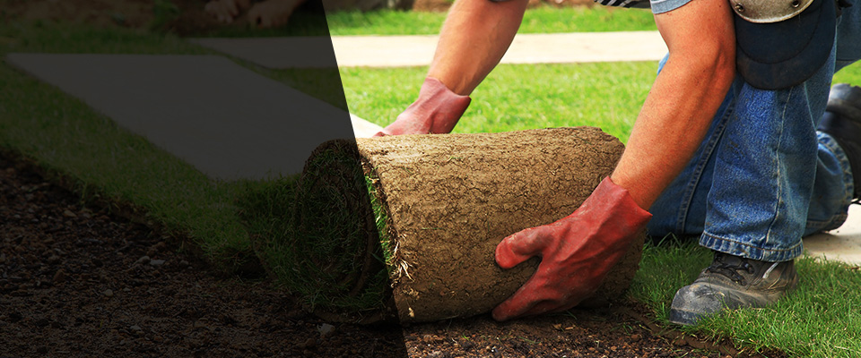 Hayneville Landscapers